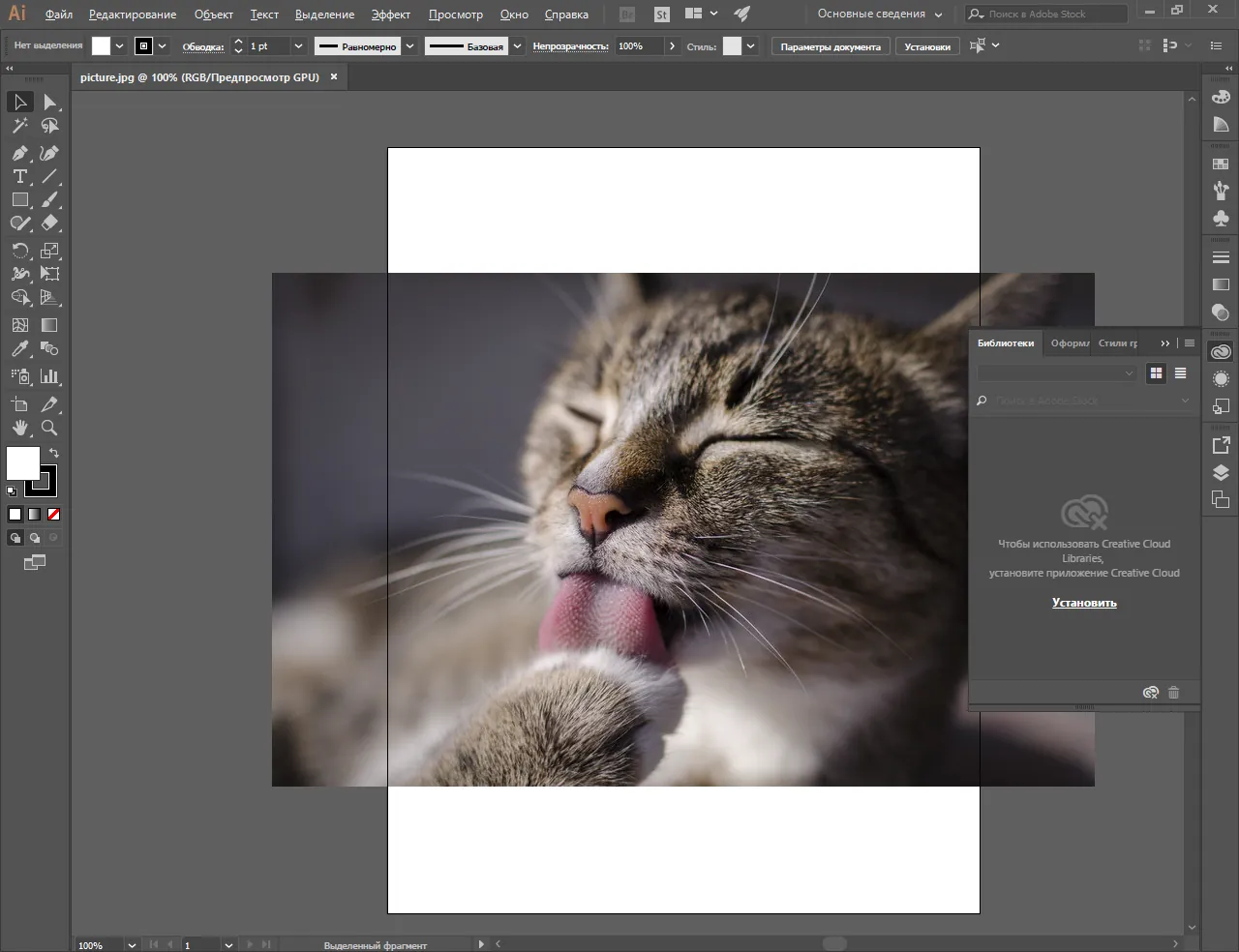 Adobe Illustrator crack Adobe Illustrator crack