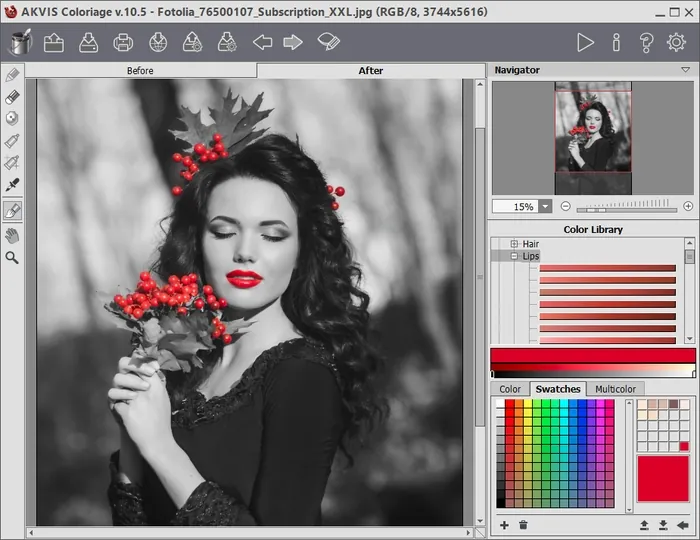 AKVIS Coloriage AKVIS Coloriage