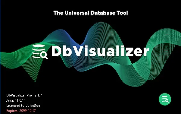 DbVisualizer DbVisualizer