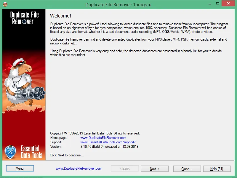 duplicate file remover duplicate file remover