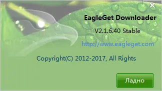 eagleget скачать бесплатно на русском eagleget скачать бесплатно на русском