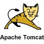 Иконка Apache Tomcat 9.0.40