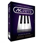 Иконка Audio Addictive Keys Complete v1.6.3.2 + crack