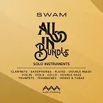 Иконка Audio Modeling SWAM Bundle 2025.6 + crack