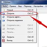 Иконка DjView 4.12 на русском языке
