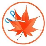 Иконка Easy Cut Studio 6.018 + key