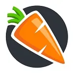 Иконка Havij Pro 1.17 крякнутая