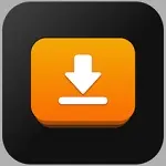 Иконка iDownerGo Pro 10.14.0 + crack