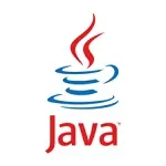 Иконка Java SE Runtime Environment 8.0 Update 481
