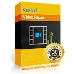 Иконка Kernel Video Repair 20.12 + key