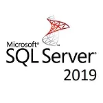 Иконка Microsoft SQL Server 2019 + 2022 Enterprise Edition + key