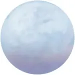 Иконка Pale Moon 33.0.1