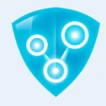 Иконка Radmin VPN 2.0.4899.9