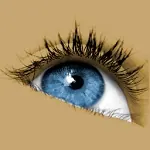 Иконка Sante DICOM Viewer Pro 14.3.2 + crack