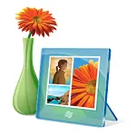 Иконка Windows Photo Gallery 16.4.3528.331 на русском