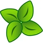 Иконка Xlight FTP Server Pro 3.9.4.6 + crack