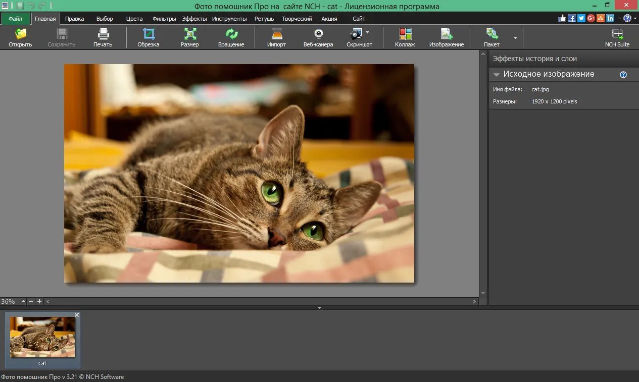 PhotoPad Image Editor PhotoPad Image Editor
