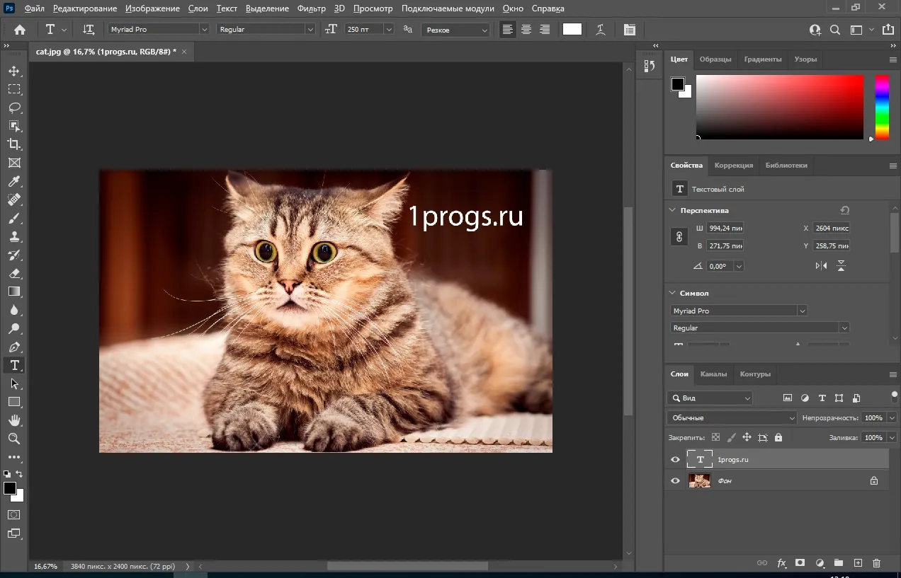 Photoshop Photoshop