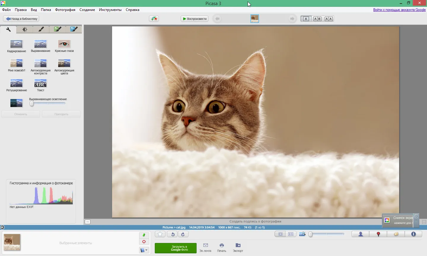 picasa скачать picasa скачать